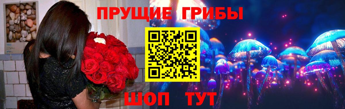 Галлюциногенные грибы GOLDEN TEACHER  Вход с VPN  Каменск-Уральский  что такое наркотик  Галлюциногенные грибы GOLDEN TEACHER 